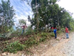 ceria