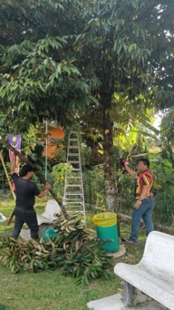 ceria 3